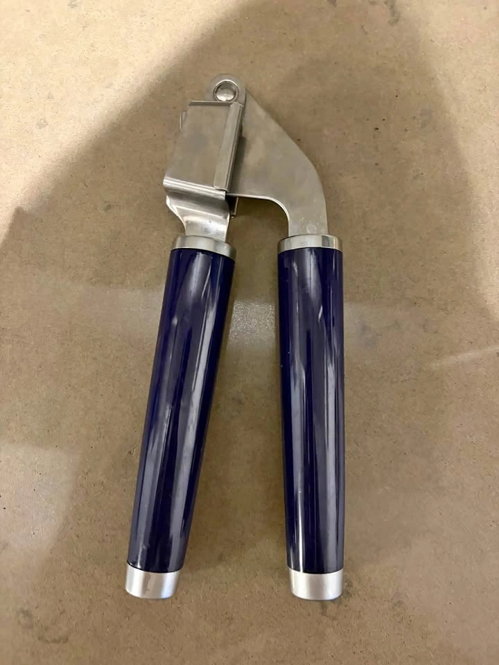Stainless Steel Garlic Press with Blue Handles