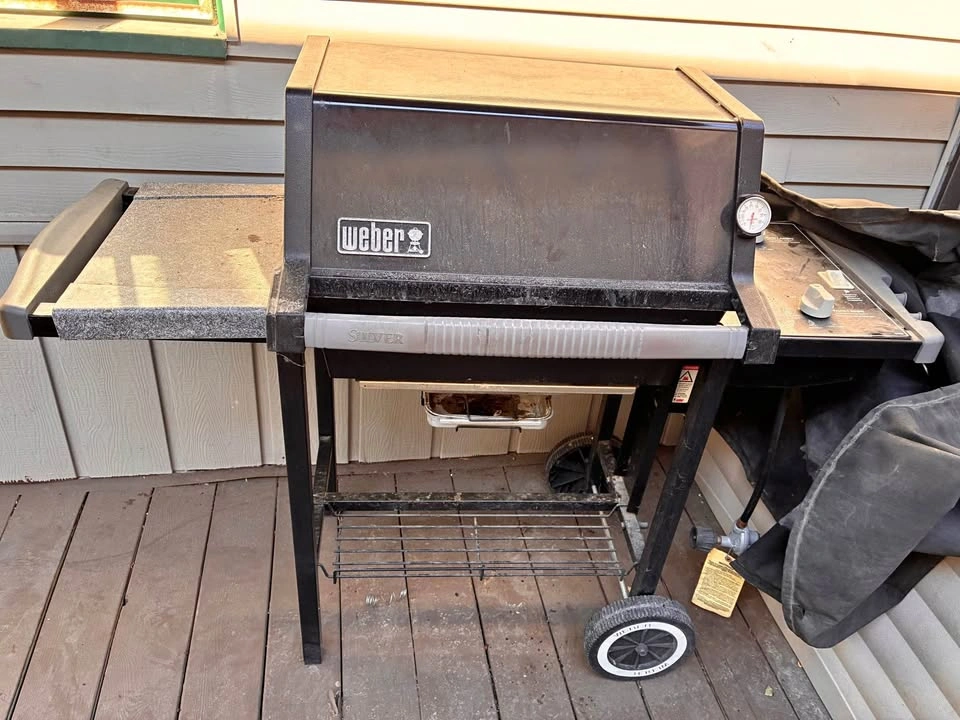 Webber bbq