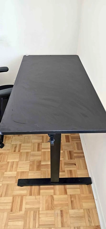 FLEXISPOT Standing Desk [Moving Sale]