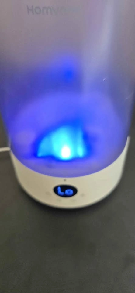 Cold mist humidifier [Moving Sale]