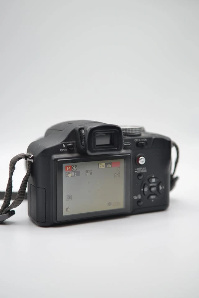 Panasonic Lumix DMC‐FZ8 – Easy Beginner Camera - photo 4