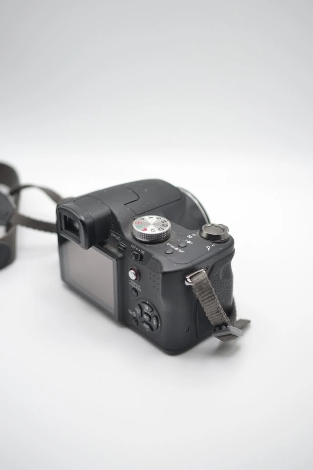 Panasonic Lumix DMC‐FZ8 – Easy Beginner Camera - photo 5