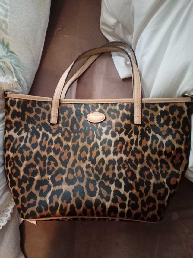 Assorted Handbag Lot