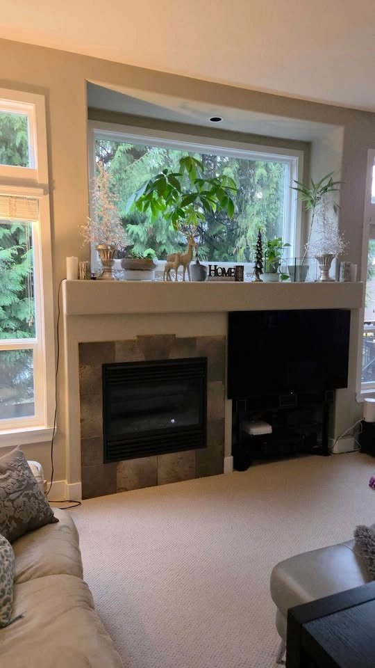 Napoleon BGD33 DIRECT VENT Gas Fireplace - photo 2