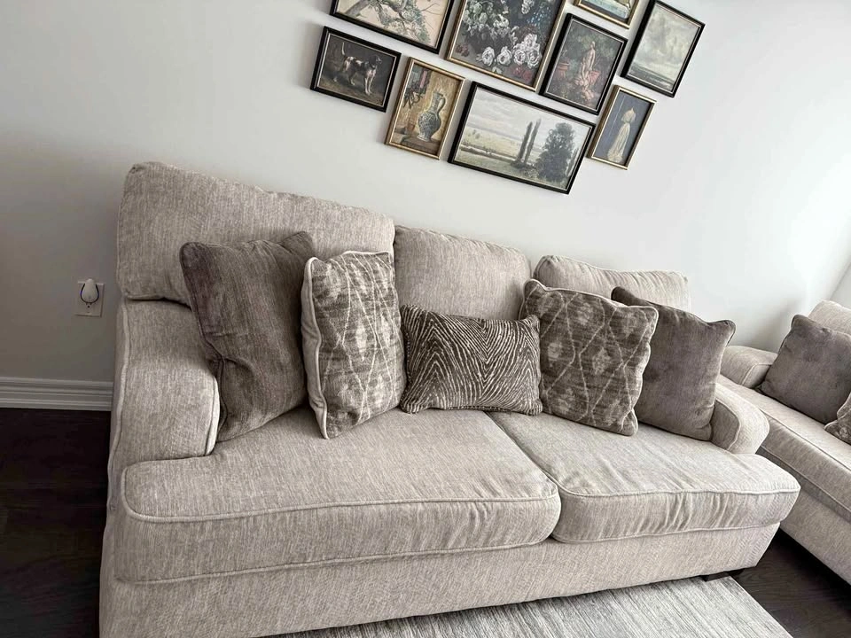 Set of 2 Ashley Alessandra couches