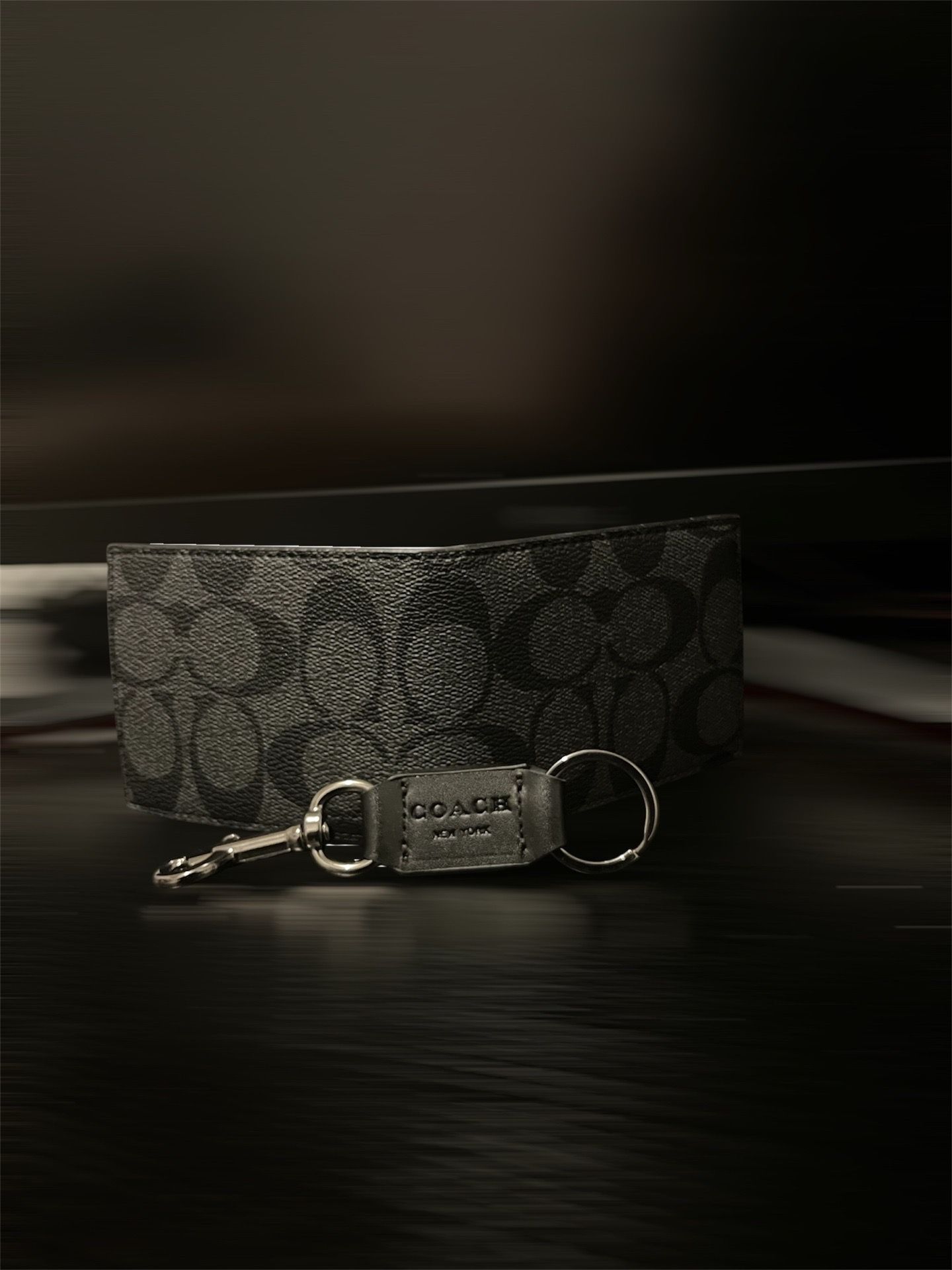 Coach Card Holder and KeyChain