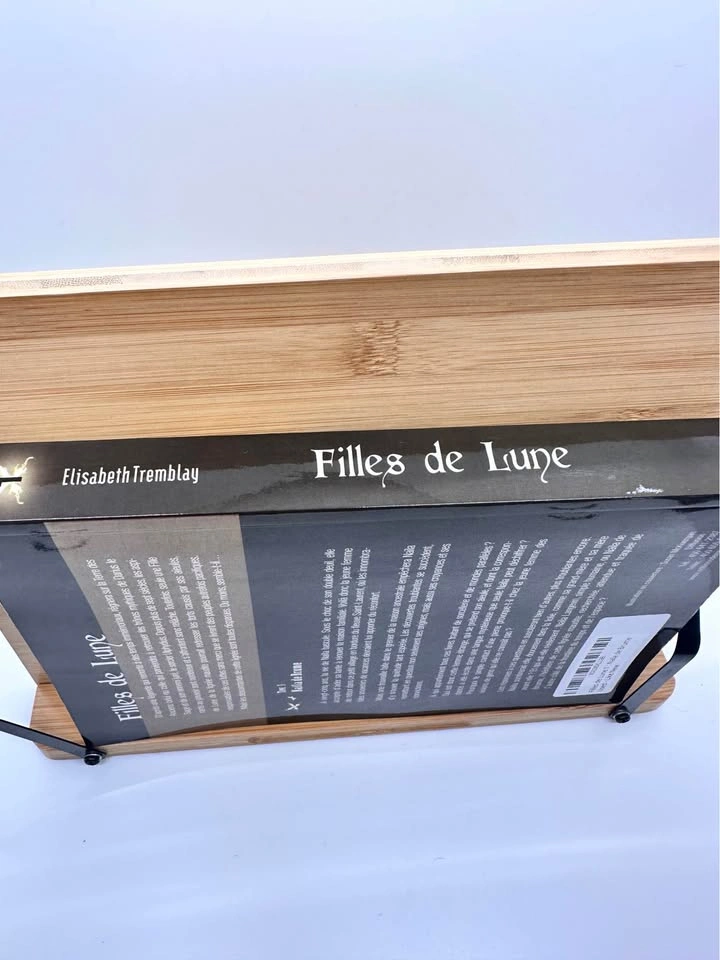 Filles de Lune Tome 1: Naïla de Brume by Elisabeth Tremblay - photo 4