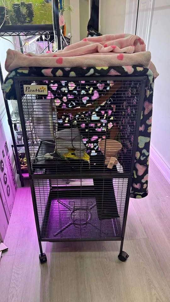 Small cage - Quick Sale