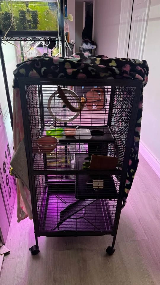 Small cage - Quick Sale - photo 2