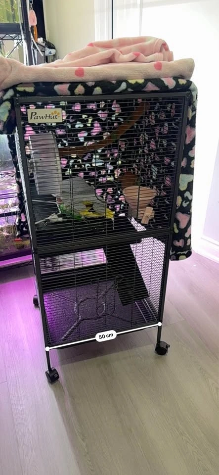 Small cage - Quick Sale - photo 3