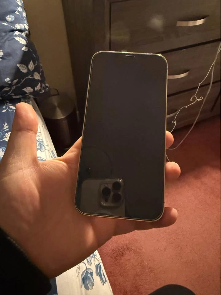 IPHONE 12 PRO MAX 256 GB - photo 2