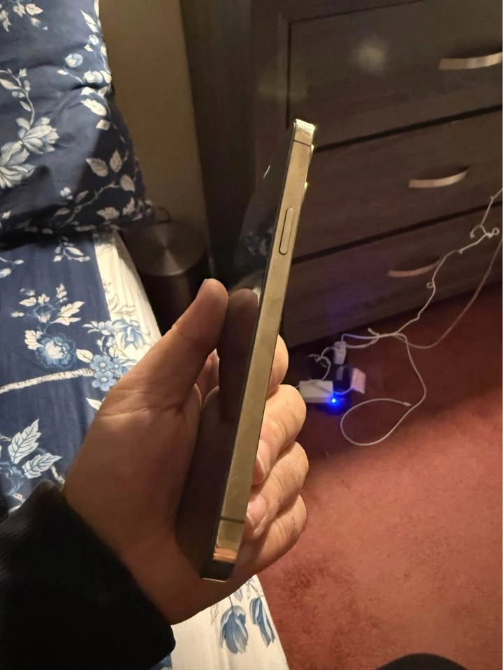 IPHONE 12 PRO MAX 256 GB - photo 3