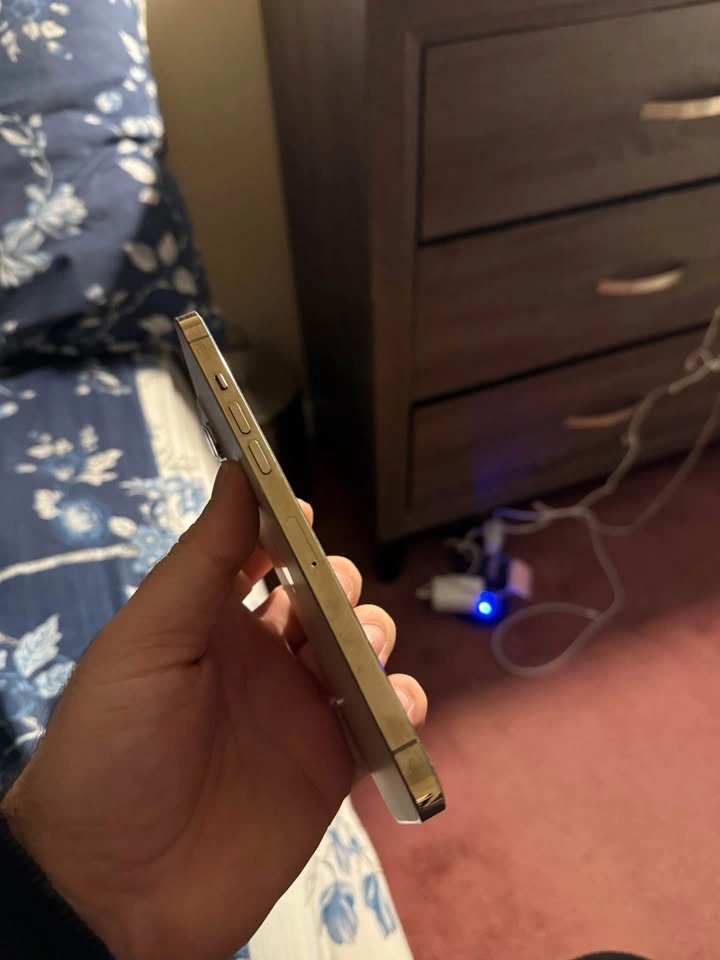 IPHONE 12 PRO MAX 256 GB - photo 5