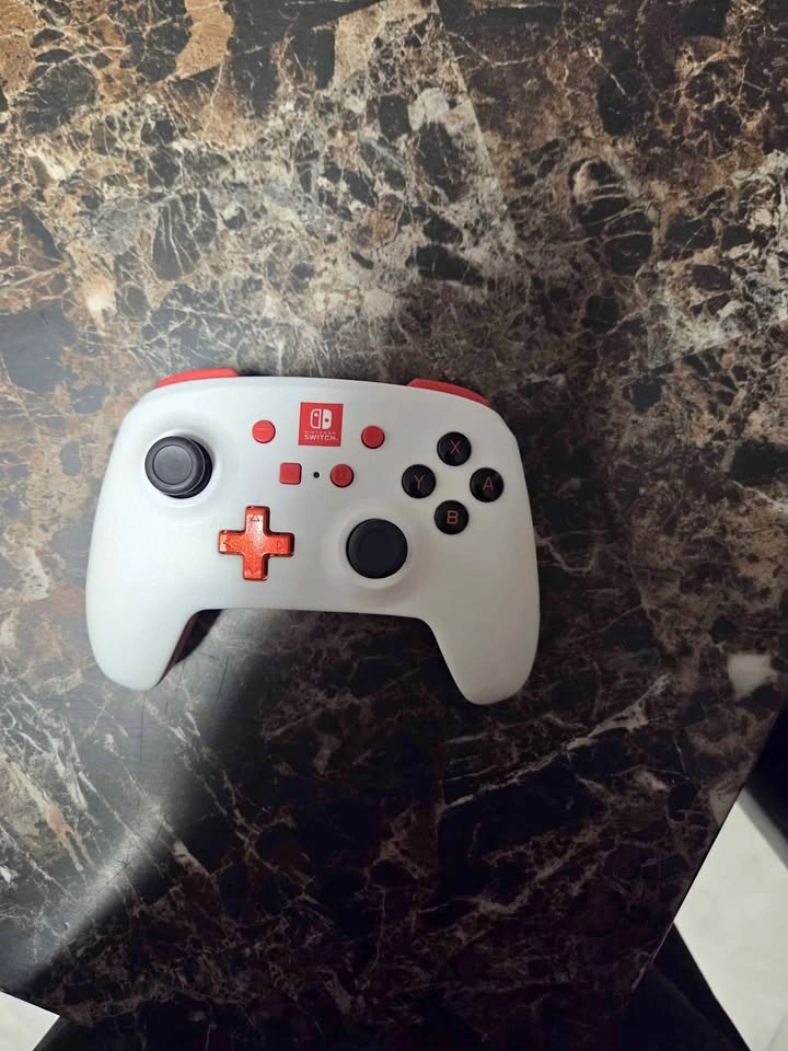 PowerA Nintendo Controller