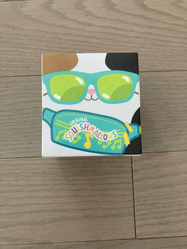 ⚽️McDonalds Squishmallows Happy Meal cat Box
