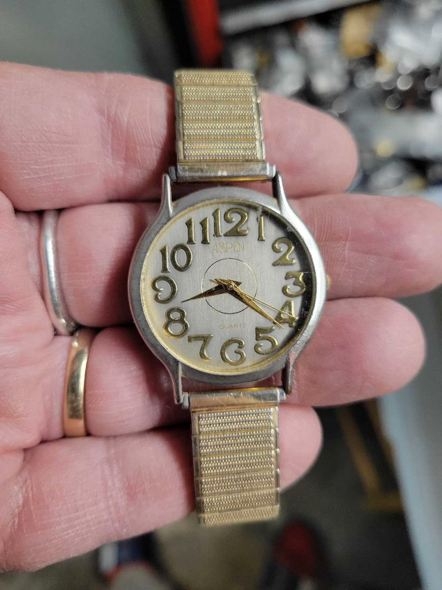 Men's Aspen Quartz watch on a Speidel bracelet