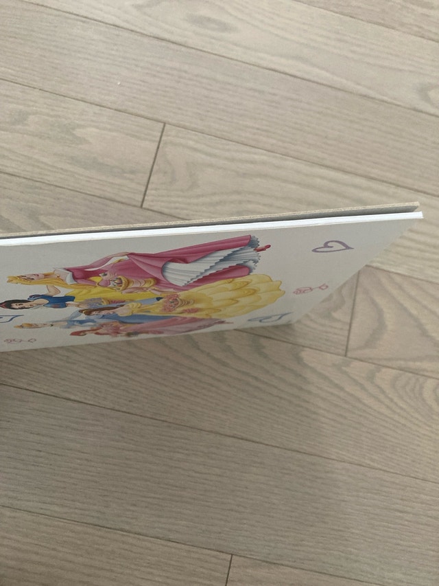 ⚽️Disney Princess Drawing Pad - photo 3