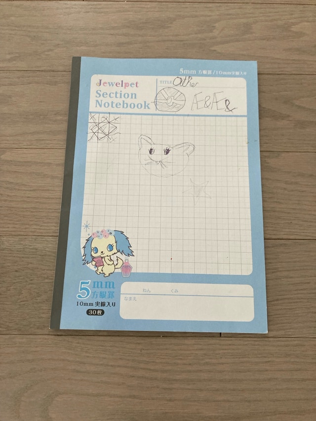 ⚽️Chinese writing Notebook