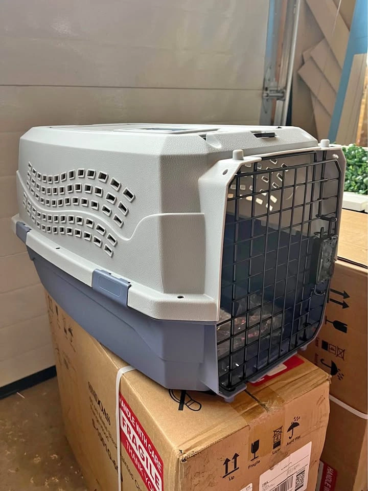 Cat carrier used once