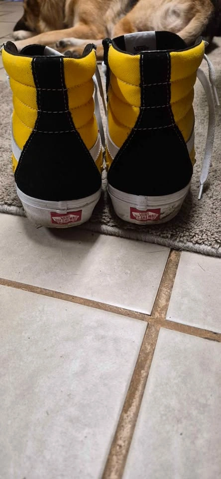 Vans Sk8-Hi Bolt Freesia - photo 3