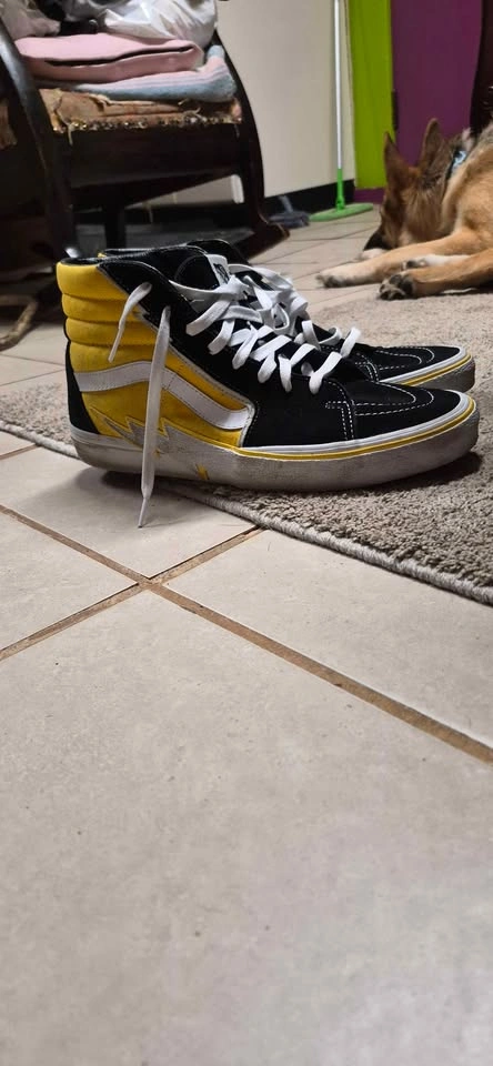 Vans Sk8-Hi Bolt Freesia - photo 4