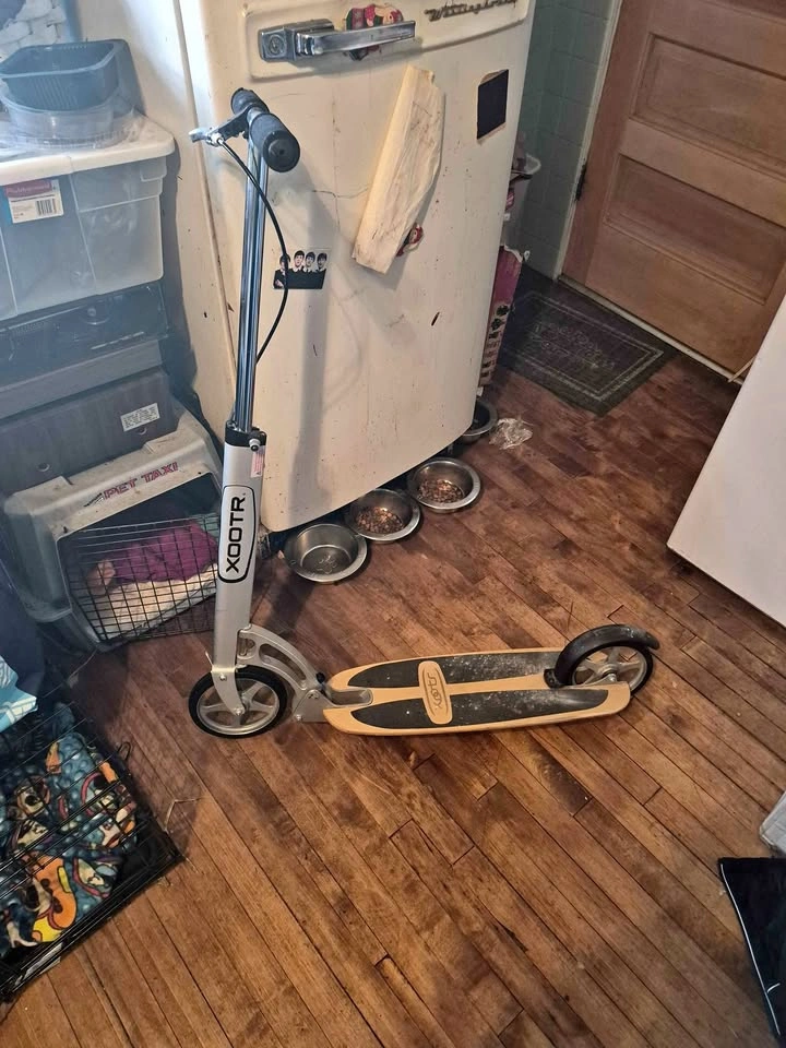 Xooter scooter