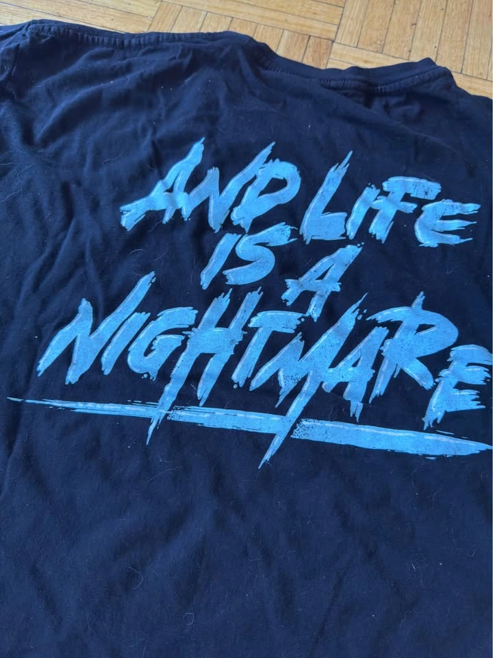 Simple Plan tshirt - XL - photo 4