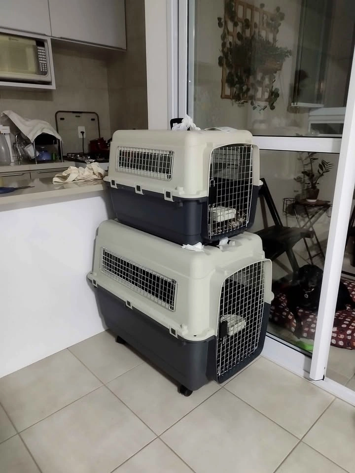 2 airline approved dog crates