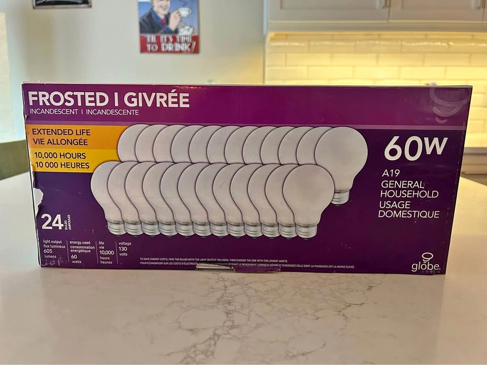 Globe 60W A19 Frosted Incandescent Light Bulbs - 24 Pack