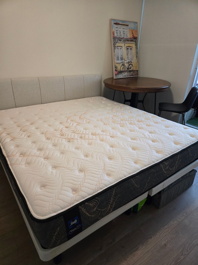 Moving sale: Sealy Posturepedic Plus King Size Bed Set