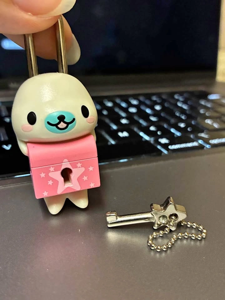 ⚽️ San-X! Vintage Mamegoma treasure lock with gem key charm