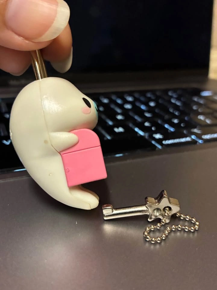 ⚽️ San-X! Vintage Mamegoma treasure lock with gem key charm - photo 2