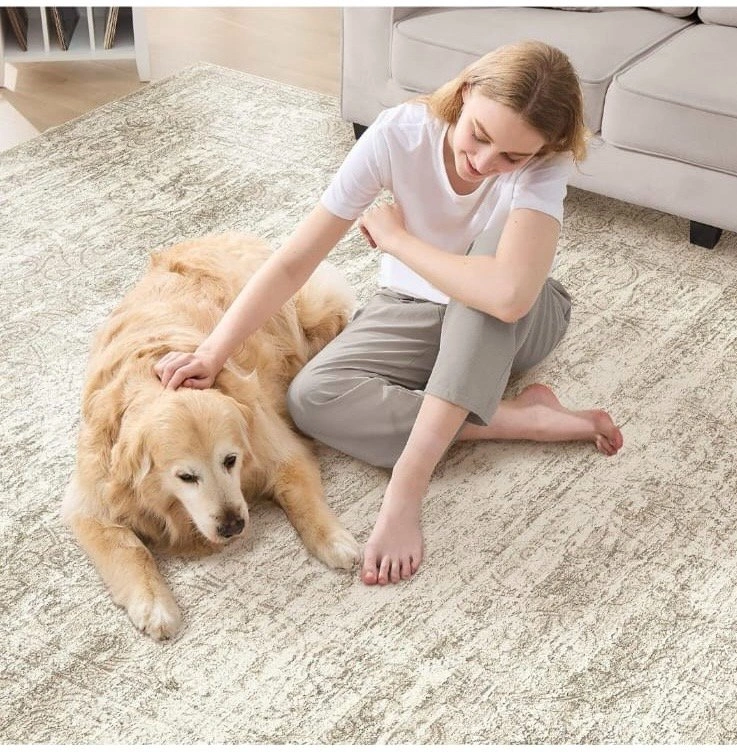 9x12 Area Rug Living Room Rugs - Vintage Beige - photo 3