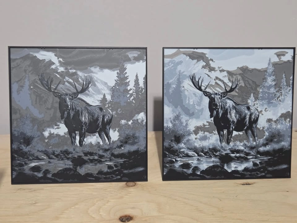 Stunning 3D Printed Wall & Desk Art | Auburn Bay Pickup - photo 2