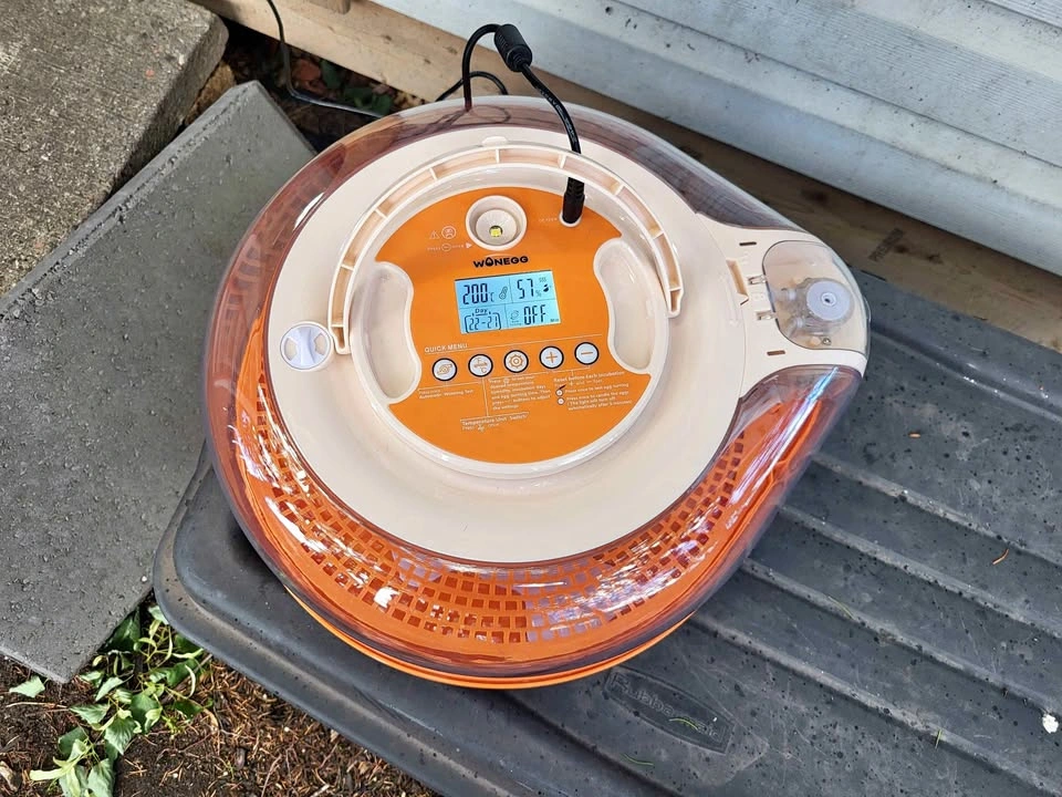 WONEGG Digital Egg Incubator
