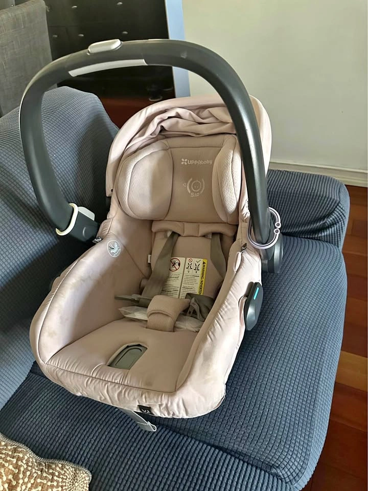 Mesa v2 car seat- pink with the base
