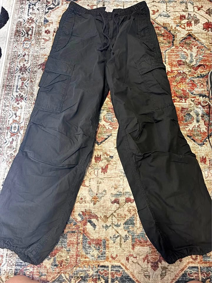 Aritzia Pants
