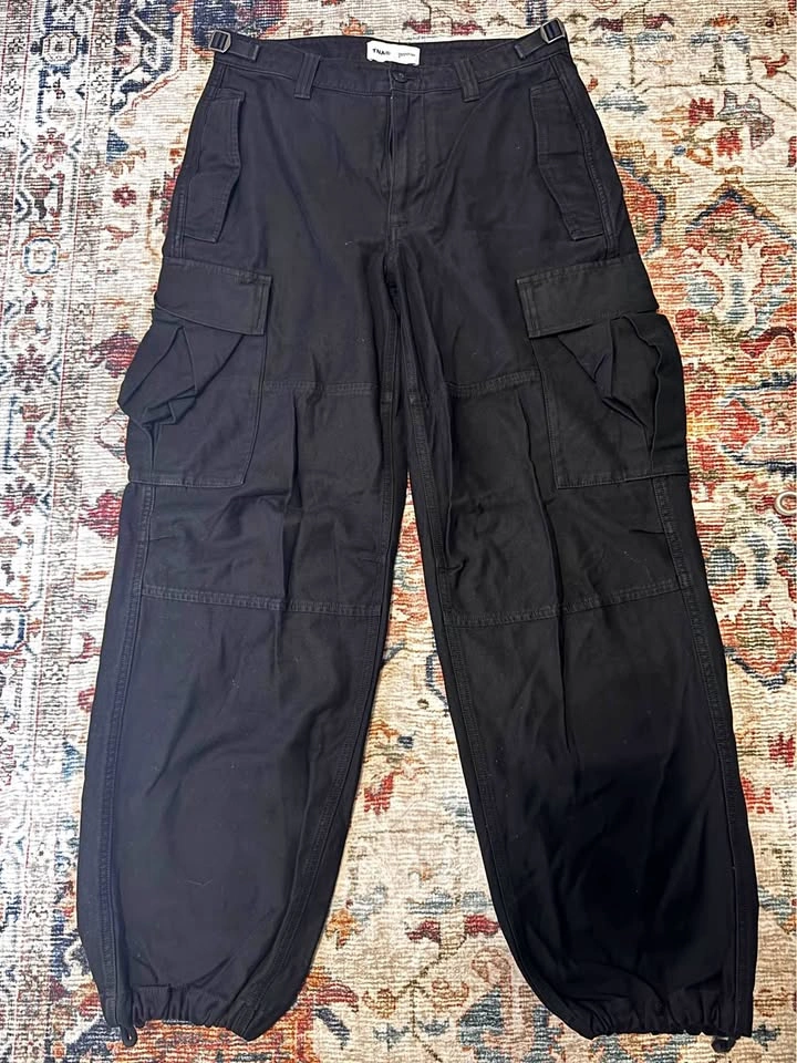 Aritzia Pants