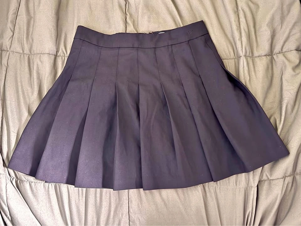 Aritzia Skirt