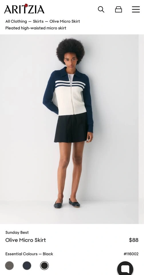 Aritzia Skirt - photo 4