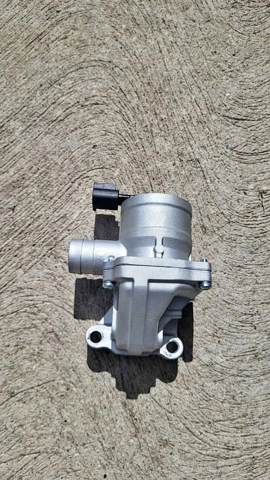 Air Injection Valve