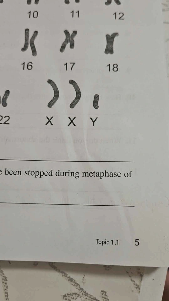 BC Science Connections 10 Workbook - photo 4