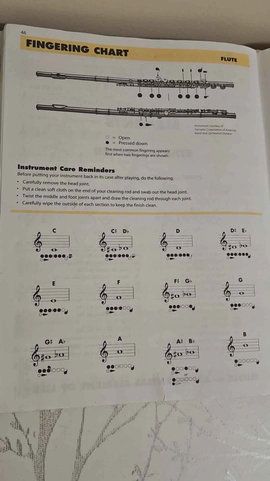 Essential Elements For Band Book 1 (Flute) - photo 4