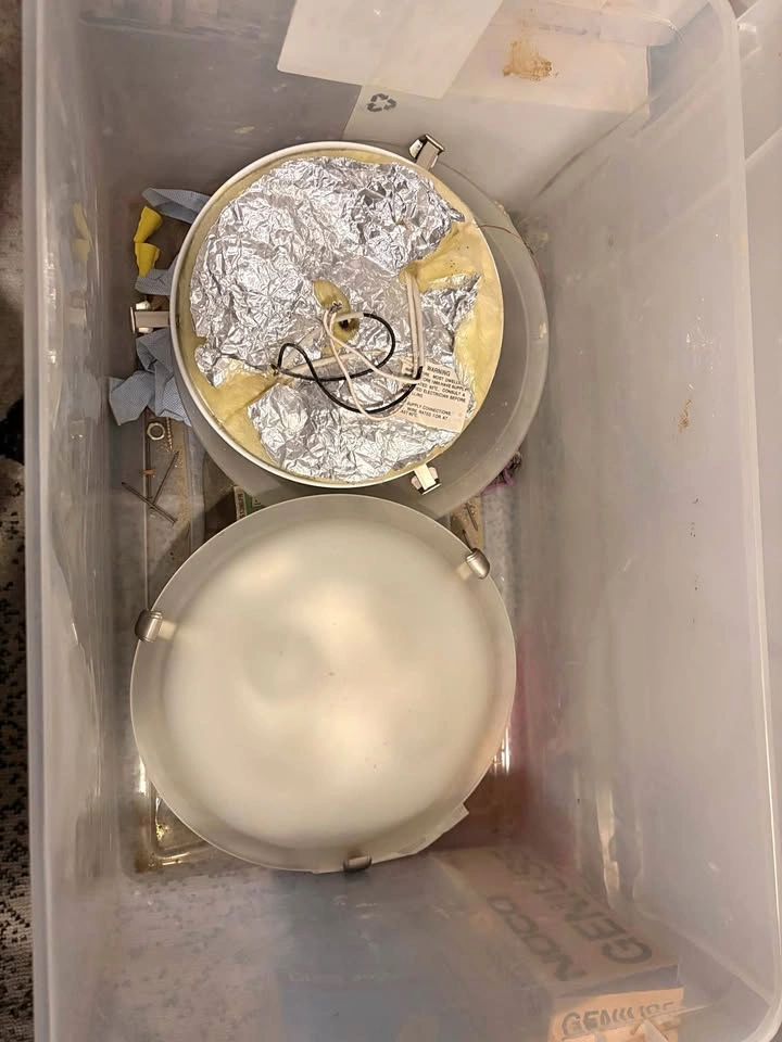 Flush Mount Ceiling Light Fixture