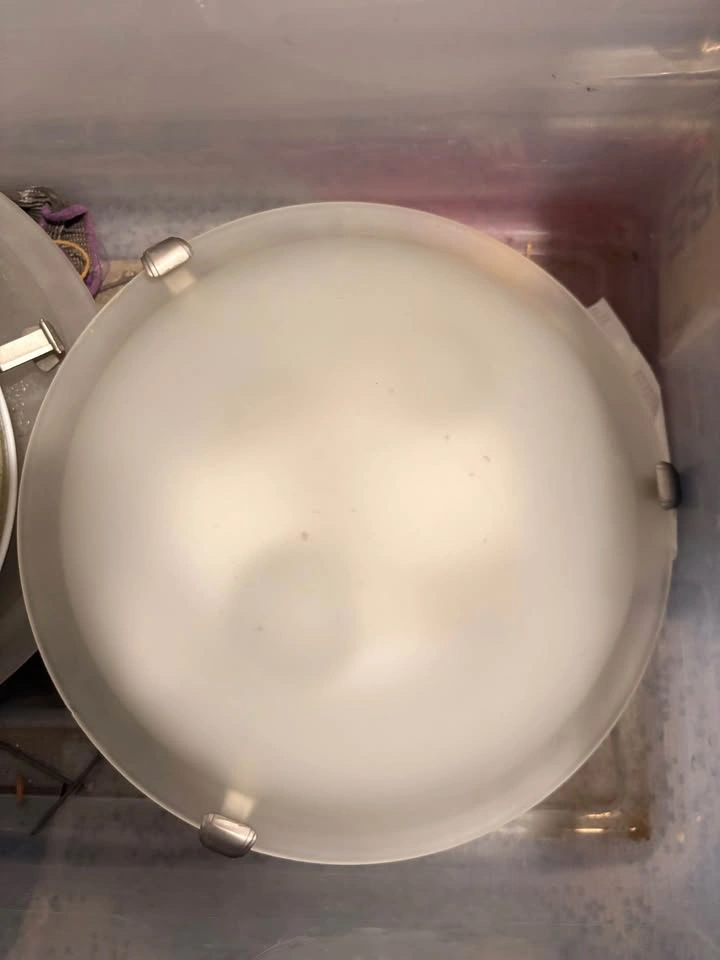 Flush Mount Ceiling Light Fixture - photo 3