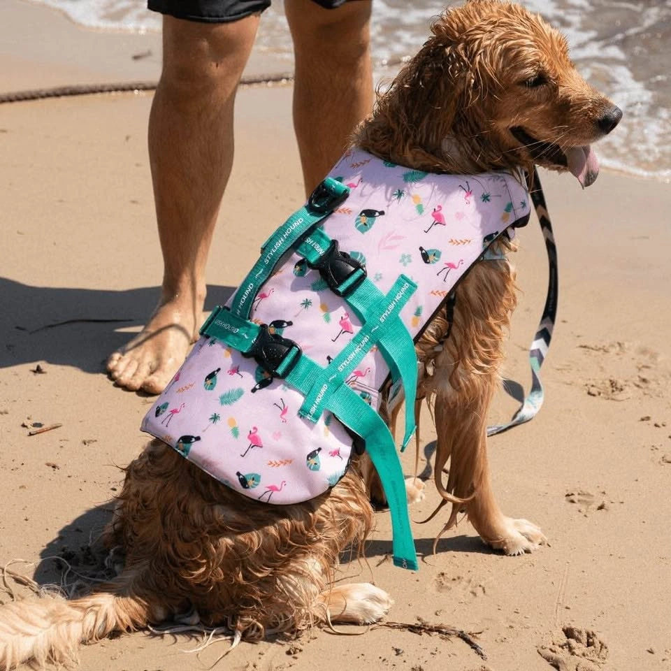 Stylish Hound Dog Life Jacket - Size XL - photo 2