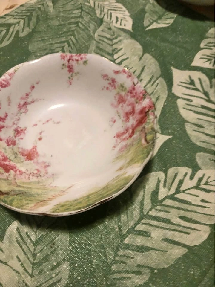 ⚽️ Royal Albert Blossom Time Bone China Bowl