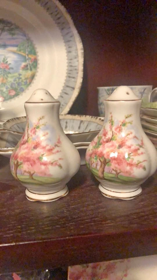 ⚽️ Royal Albert Blossom Time Salt And Pepper