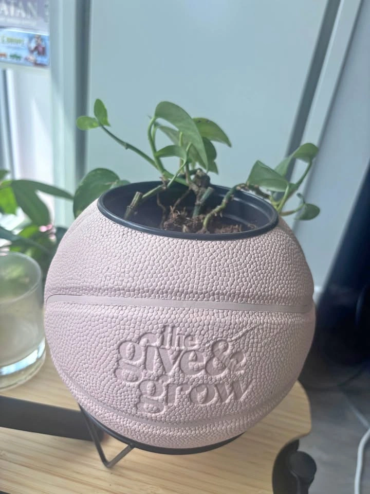 Planter and plant