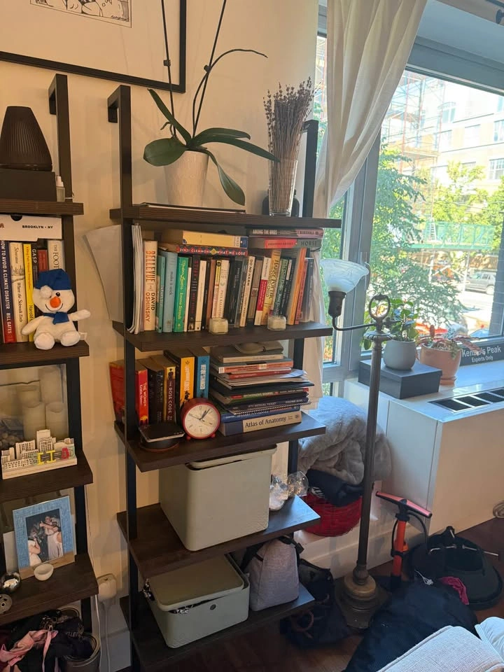 Nathan James Theo Wood Wall Mount Ladder Bookshelf, 5 Shelves - photo 4